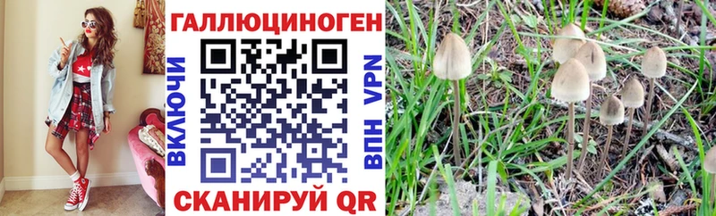 blacksprut ссылки  Кемерово  Галлюциногенные грибы Magic Shrooms 