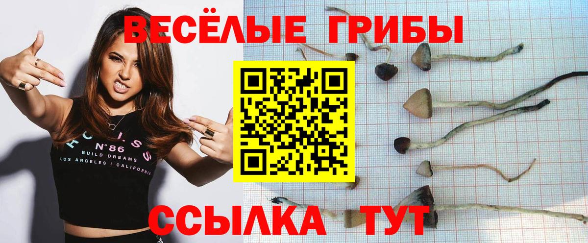 Галлюциногенные грибы мицелий Кемерово