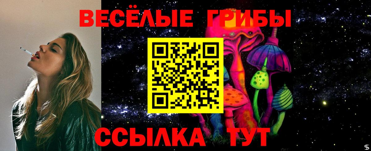 Кемерово  Псилоцибиновые грибы мицелий  Вход с VPN  Псилоцибиновые грибы прущие грибы 